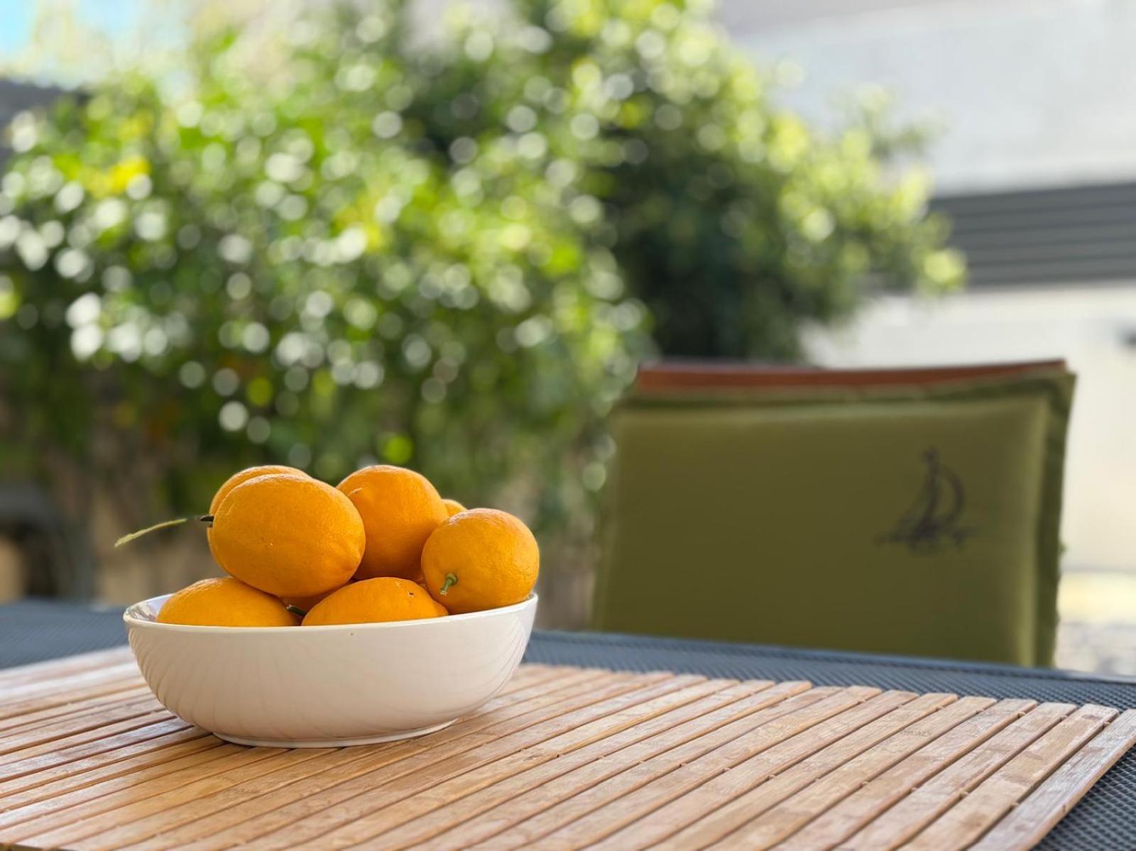 Spacious Chic Residence ザダル エクステリア 写真